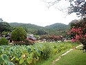 경주 '종오정'에서 ...