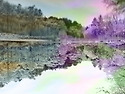 국립수목원