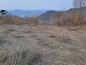 전망좋은 곳 싸게 팝니다