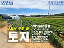 홍성토지 2차선도로접 국유..