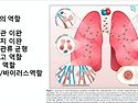 비트가루 판매