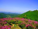 264차 정기산행공지-안양산,무등산