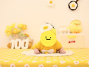 100일 촬영했어요~!