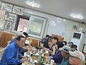 인제자작나무 숲