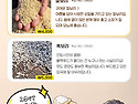 26년 국산 햇찰기장 햇찰보리 햇흑보리..