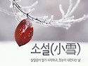 11月 22日(金) 소설(小雪..