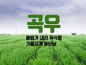 4月 20日(日) 곡우(穀雨)