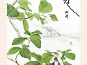도감포 길에서 - The wildlife df Dogampo-gil 꽃나루 상설전 오픈 2026. 3.15.