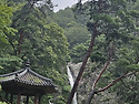 월이산(영동) 산행