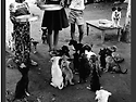 1970년대 개와 고양이가 ..