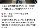인생 잘 살 것 같은 초딩