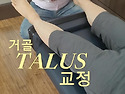 카이로프랙틱 교육 거골 Talus 교정