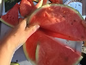 25,6,10,충북 영동 갈기산..