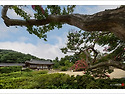 &clubs; 명재고택