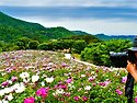 아름다운 산하.