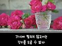 2025.08.15 아침인사~