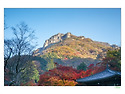 18-11-04백양사