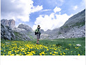 22 - Lago di Limedes 411 Tr..