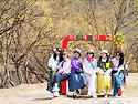 20260324_의성 산수유꽃피는마을 사진..