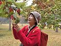 흐린 가을날 노란 길을 걷다~♡26/1..