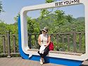 5월6일. 진천이팝나무...해안선대장님