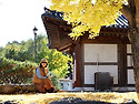 26.10.23 봉선사,광릉수목원/해안선대..