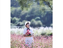 10월7일(수) 영월 붉은메밀꽃
