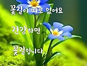 인간은 몸이 아니라 감정이 먼저 늙는다 ​