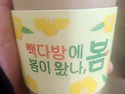 봄 맞이로 산책나왔어요 ..