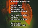 불면증 / 박정경