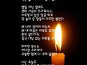 분노 / 박정경 시인