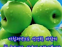 절대 긍정으로 산다