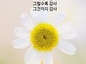 ♡오늘의 아침기도(25.2.6)♡