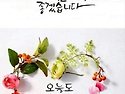 "노트북 LM"이 "제미나이 노트북"으로 이름변경