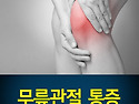  중증 무릎관절통증 특수자석 + 연골재생 / 경증 무릎 관절통증 특수자석 치료법 