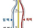 만성 피로회복 원기충전 제니센으로 쉽고 편리하게 사용하는 방법