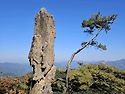 10/10(토) 백두대간 제수리재 은티마을 산행