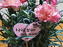 어버이 날