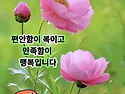 10월10일(목요일)일조점호