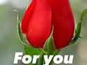 6월22일(월요일)일조점호