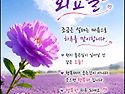 6월23일(화요일)일조점호