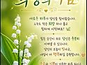 6월24일(수요일)일조점호