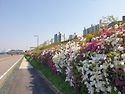 4월30일(수요일)일조점호
