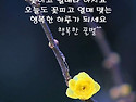 4월29일(수요일)일조점호