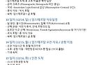 12월 2일 리옹 암스테르담 벨기에 빛의축제 15일