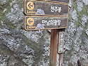천주산진달래구경하세요26..
