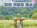 선선해진 날씨에 꽃길 따라..