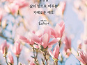애도