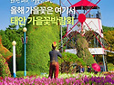 &#65279;올해 가을꽃..