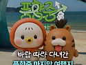 바람 부는 대로 떠난 풍향..